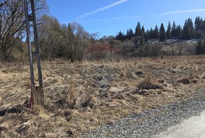 Teren 3,135mp Dorna-Arini / Drumul GURA NEGRI - 1