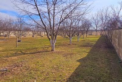 Vila individuala 7 camere | Zona Iancu Nicolae - Serban Cantacuzino | Teren 3250 - 27