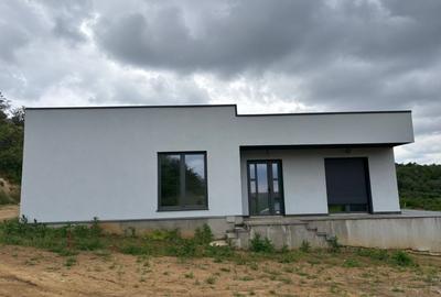 Casa moderna cu 3 dormitoare in Paleu - 1