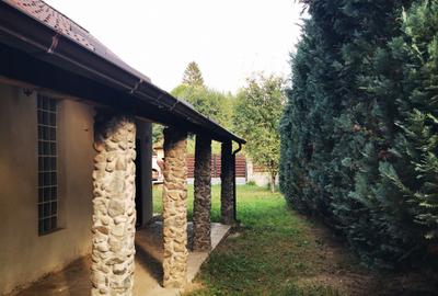 Casa individuala, complet renovata, pe Valea Draganului! - 6