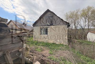 Comision 0! | Casă + teren generos | 2600 m² | Oportunitate unică - Faureni - 24