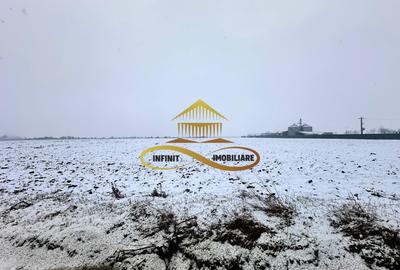 Teren Construcții intravilan de 4579 mp, în Schineni (Săucești)