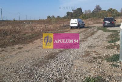 Teren bun mare și ieftin - 36