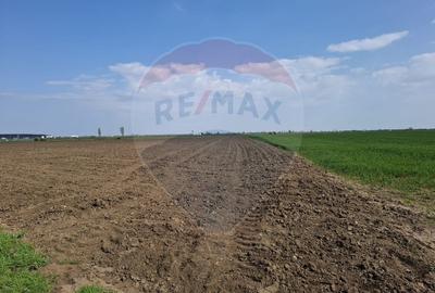 Vanzare teren intravilan parcelat, in Branesti langa - Autostrada A2 - 3