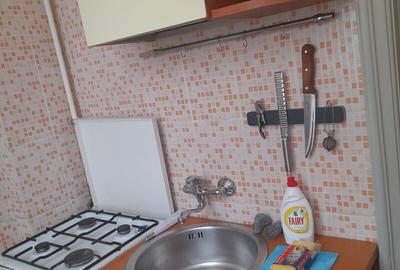 DOROBANTI ,IANCU DE HUNEDOARA GARSONIERA  PET FRIENDLY INCHIRIERE - 4