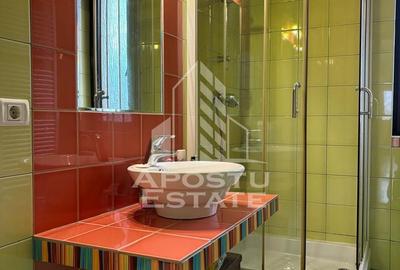 Vila individuala premium moderna Timisoara , zona Mehala Bogdanestilor - 9