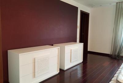 Ambasada SUA. Apartament 300mp, terasa 100mp, garaj. - 16