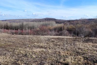 Teren cu potential turistic in RAMET/ALBA - 1