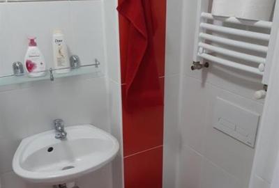 Apartament cu o camera zona Centrala - 11