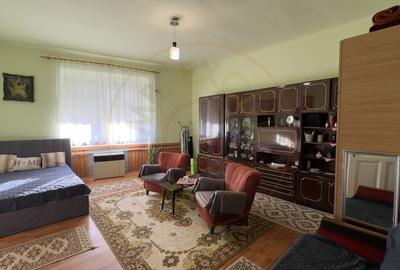 Casa 4 camere cu Teren 2.974 mp | Rezidenta sau afacere | Carei - 7