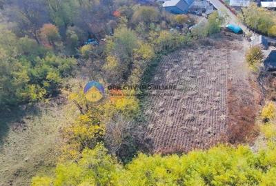 Teren de vânzare 11.766 mp – Costișa, județul Neamț - 9