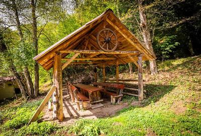 FILM! Pensiune turistica+Casa+transfer afacere+teren,Cheile Rasnoavei,Brasov - 53