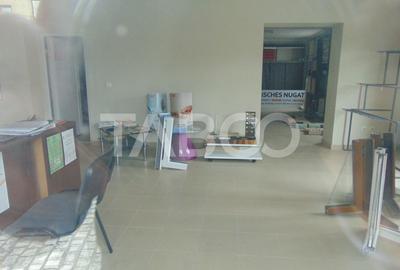 Pensiune cu 19 camere de inchiriat in Sibiu zona Centrala - 11