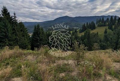 Parcele teren intravilan cu utilitati-panoramic-Colibita - 4
