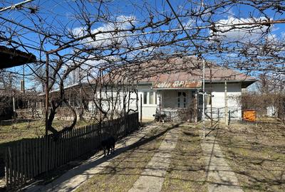 Casa batrineasca cu approx 2800 mp teren, vie, pomi fructiferi, zmeura, coacăze - 1