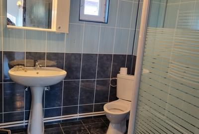 Proprietate generoasa- Casa cu 4 dormitoare si o curte mare - 20