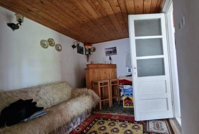 Balilesti - Stradal, casa spatioasa, 4600 mp teren intravilan - curte spatioasa - 19