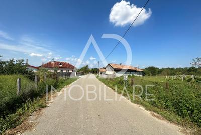 Teren situat în Drăguțești, sat Urechești - 6