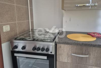 Închiriere apartament de lux in Pitești Exercitiu - 6