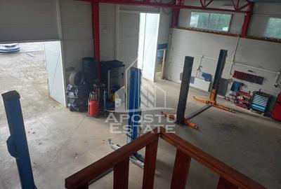 Sediu firma /birouri 160 mp/curte privata 240 mp Giroc - 6