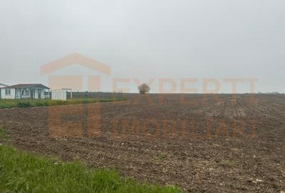 Casa de vanzare in 23 August - Olimp │ 280mp de teren - 5
