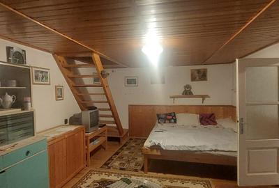 Cabana Lunca Bradului- 1200 mp teren - 2