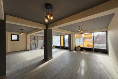 Spatiu comercial Visan - zona Profi, 176mp - 6