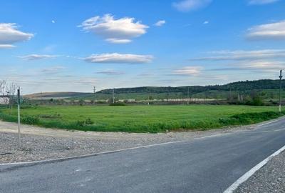 Teren 1.1 Ha Intravilan Sîrca Iași la E85 E583  DN28 PUZ Aprobat - 1