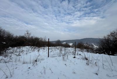 Teren Construcții intravilan de 2877 mp, în Florești