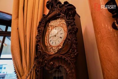 Proprietate unicata in stil clasic in Mosnita Noua - ID V7206 - 2