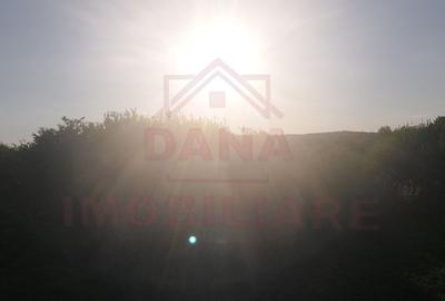 TEREN DE VÂNZARE-32480 mp CARANSEBEȘ JUD.CS,  0% COMISION - 3