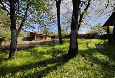 Casuta de vacanta in padure , zona Barnova - 2