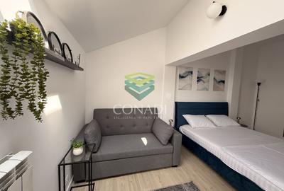 Apartament Cochet 4 Camere de Inchiriat Duplex | Penthouse | Cotroceni - 11