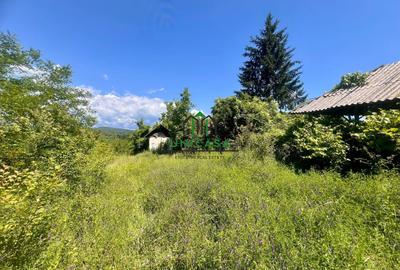 Teren intravilan de vânzare/Ocnele Mari/8.300 mp - 2