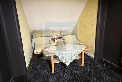 Casa/vila P+E+M, individuala ,730 mp teren-Timișul de jos/Dâmbul Morii - 14