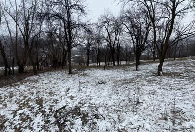 Teren 4652 mp cu izvor pe el, Lunca Mare, lângă păstrăvăria Doftana - 9