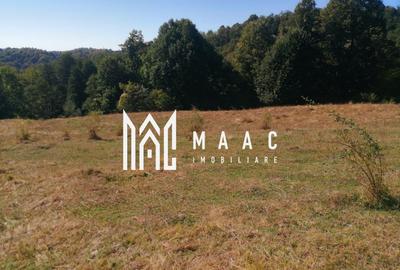 Teren Extravilan 20.000Mp I Stoenești -Vâlcea I Apă Curentă și Pădure - 1