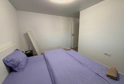Inchiriere apartament 2 camere,Theodor Pallady,Nicolae Teclu Metrou,bloc cu lift - 7