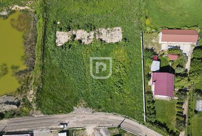 Teren 4.844mp intravilan Scheia | Suceava - 6