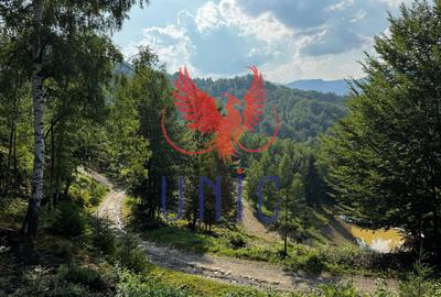 18000 mp de natura pura ,Lupeni, langa Straja - 5