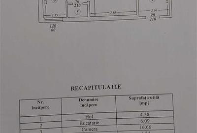 Apartament de vanzare cu 2 camere mobilat 52 mp Podul Ros 103.500 euro - 12
