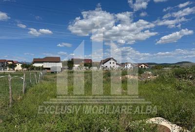 Teren intravilan | 450 mp | 13 ml deschidere | Alba-Micesti - 2