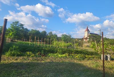 Vanzare casa sat Asinip, comuna Lopadea Noua, jud Alba, la 15km de Aiud - 5