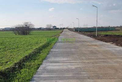 PARCELE REZIDENȚIALE – FRUMUȘANI, CU DESCHIDERE LA DN4! - 6