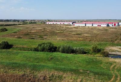 Parcele de teren de vanzare- PUZ industrial - Sanandrei - 6