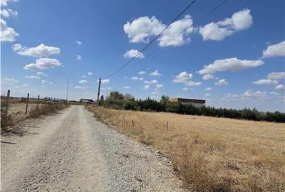 Teren intravilan,2.374 mp,Cheriu, Comuna Osorhei - 4