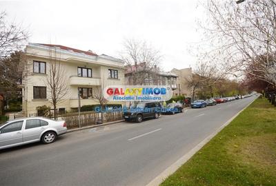 Vila 14 camere D+P+E1+M Arcul de Triumf Herastrau Kiseleff - 3