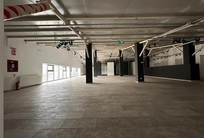Hala, showroom sos. Pacurari Iasi, zona Mall Moldova, 1310mp - 5