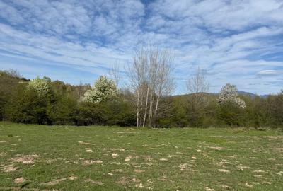 Teren intravilan 500 mp sau 1000 mp în Bran –Tohanita cu parau langa - 2