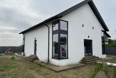 Casa P+M de vanzare in Campineanca (strada asfalata) - 2